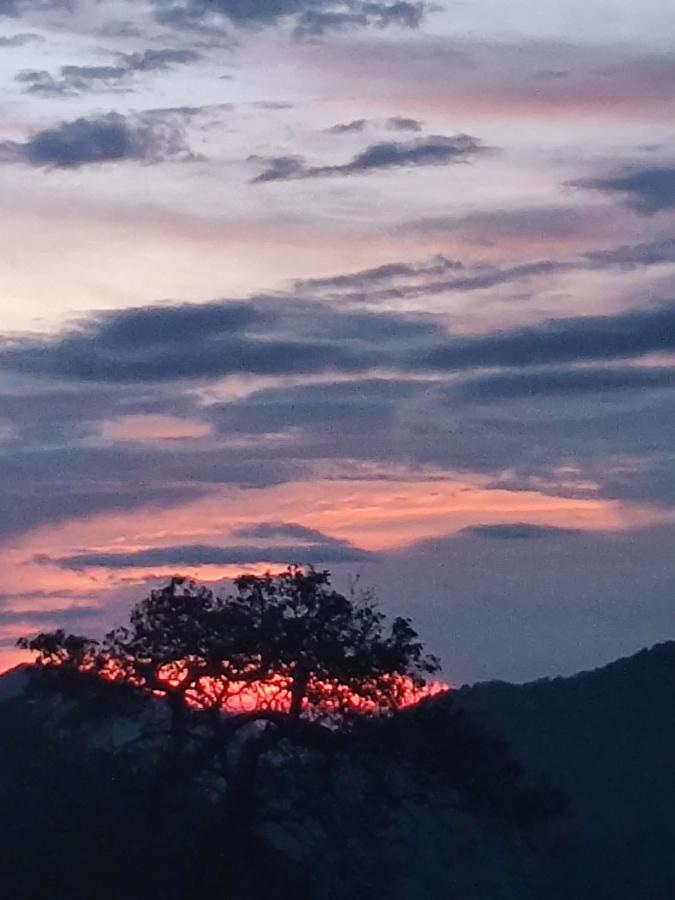 Chateau De Tatli - Hilltop - Dehradun Eksteriør billede
